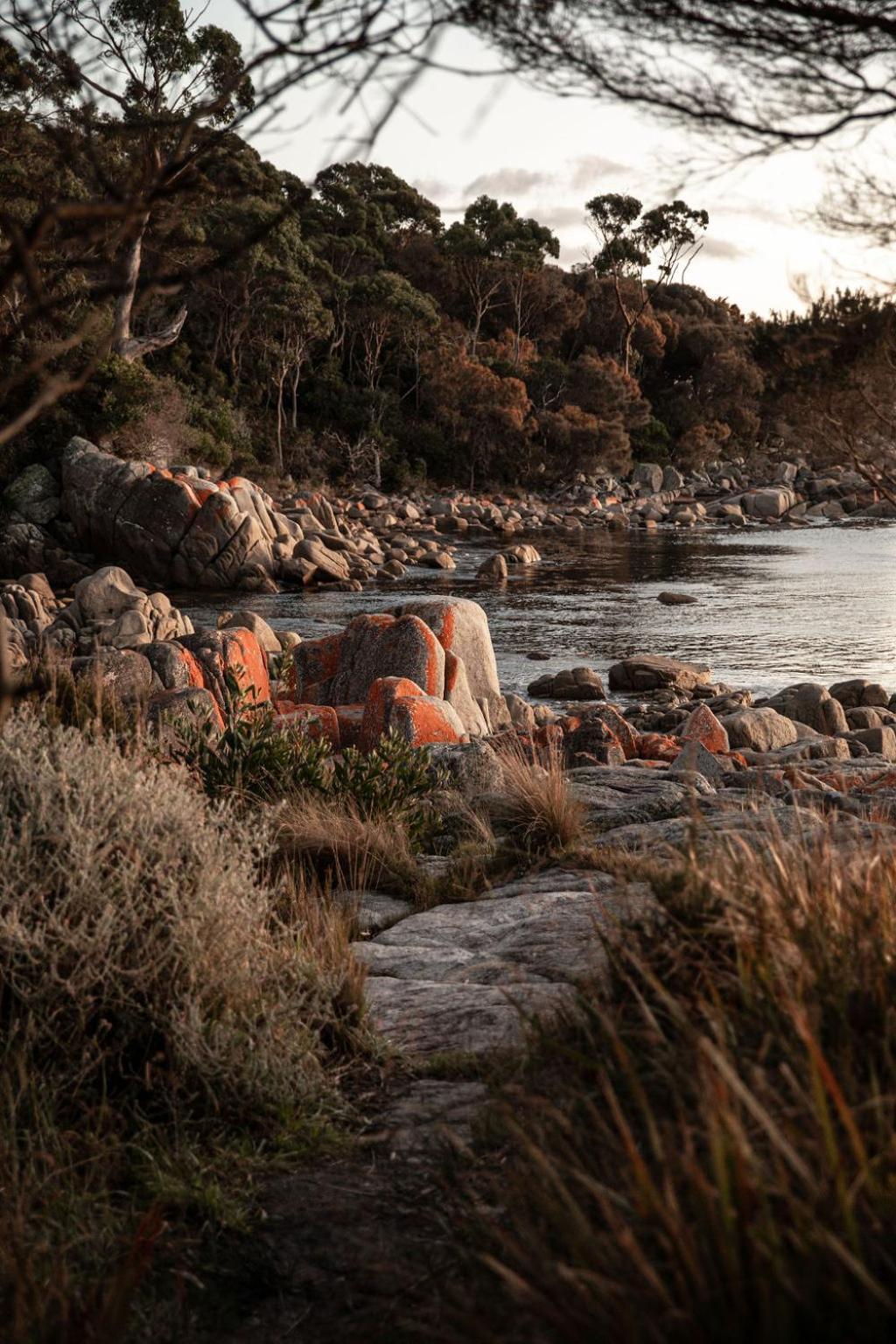 Driftwood Rest Binalong Bay Sleeps 4 Villa Exterior photo